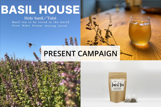 BASIL HOUSE PRESENT CAMPAIGN!