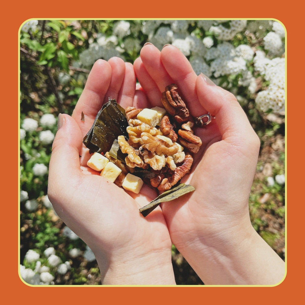 No.3|ローカーボ|おやつ|健康|クルミ|パリパリ昆布|ドライチェダーチーズ|ピーカンナッツ|Buddy Nuts(バディーナッツ)|LIFE TUNING DAYS(ライフチューニングデイズ)|