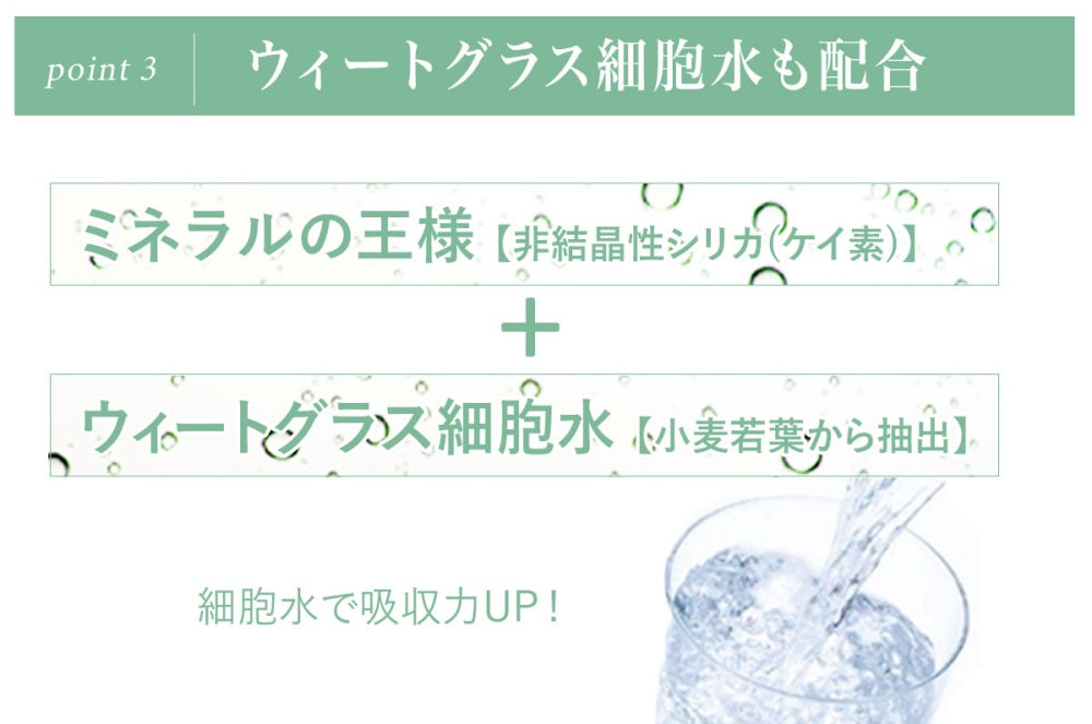 ウィートグラスデトレッシュウォーター|シリカ | シリカ水|ウィートグラス | 持ち運び| デトックス| LIFE TUNING DAYS(ライフチューニングデイズ) |