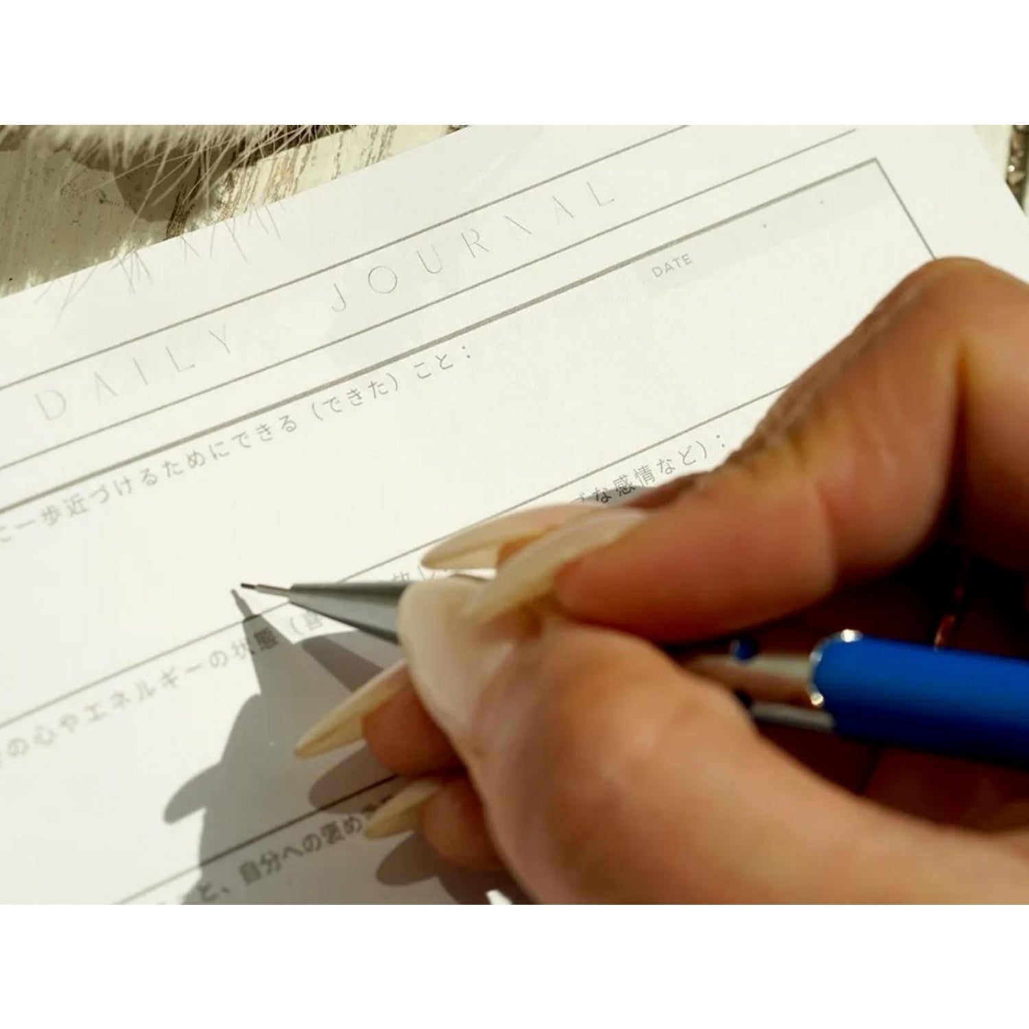 VISION NOTE|ビジョンノート|人生計画ノート|日記|日付なし|シンプル|LUCAS(ルカス) |LIFE TUNING DAYS(ライフチューニングデイズ)|