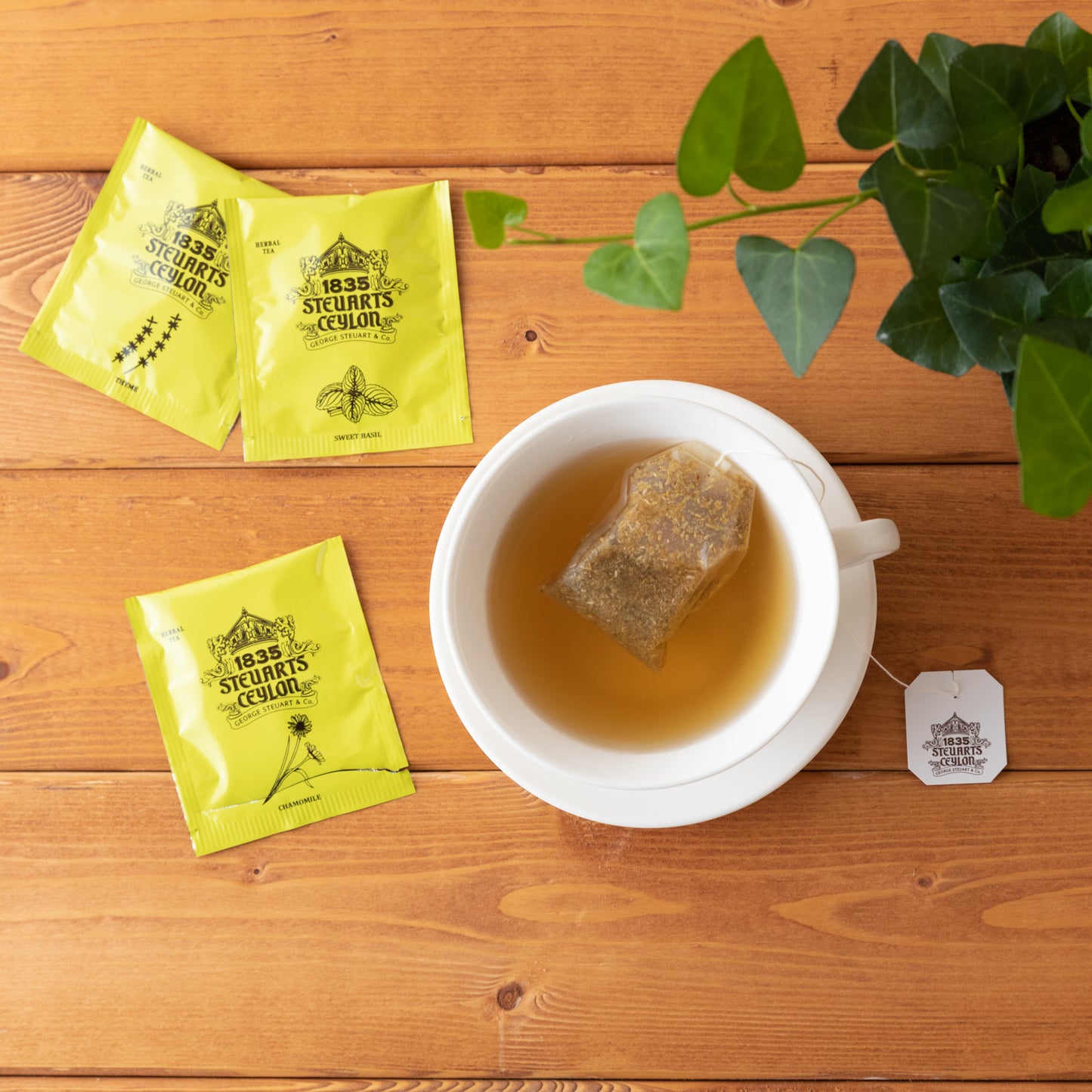 封筒型5種ロイヤルハーブティー・George Steuart Tea (ジョージスチュアートティ)・緑タイプ