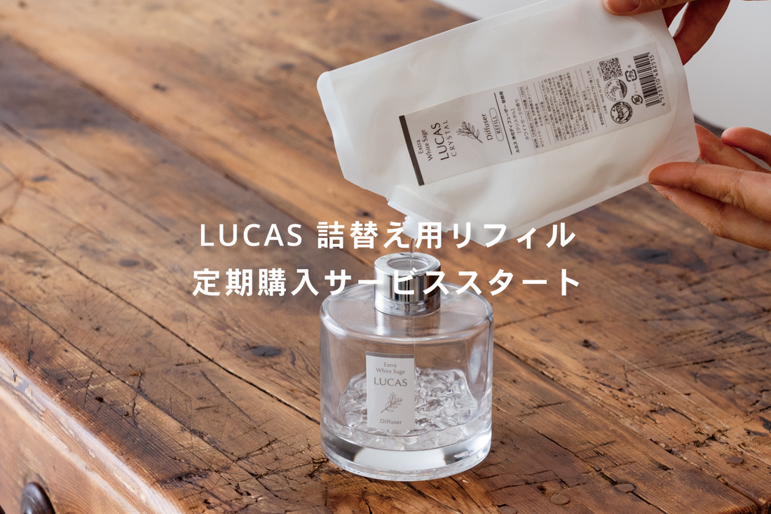 9月25日 LUCAS 定期購入サービス スタート！