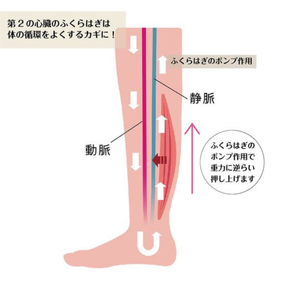 アフターヒール（室内用宅トレサンダル）｜草履｜むくみケア｜フットケア｜LYKKE（リュッケ）｜LIFE TUNING DAYS（ライフチューニングデイズ）｜