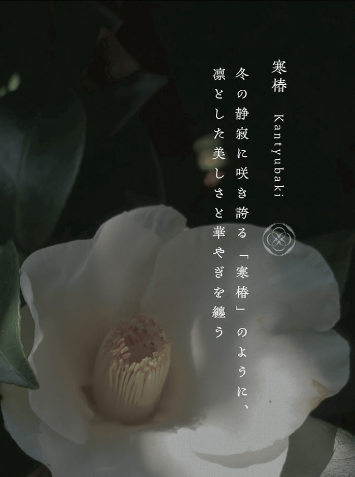 寒椿（かんつばき）オーガニックコットン リブニットプルオーバー