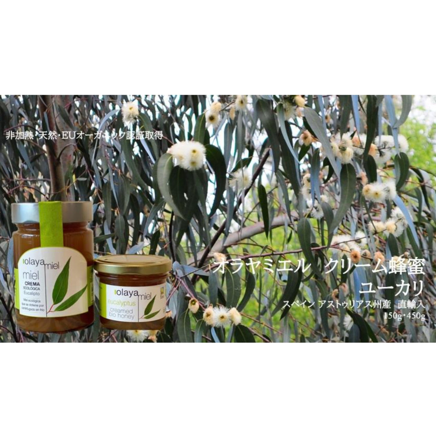 オラヤミエル｜クリーム蜂蜜｜蜂蜜｜はちみつ｜ユーカリ｜EUオーガニック認証｜oliveandforest（オリーブアンドフォレスト）｜LIFE TUNING DAYS（ライフチューニングデイズ）｜